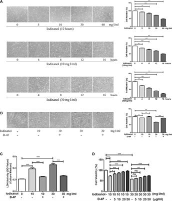 D-4F Ameliorates Contrast Media–Induced Oxidative Injuries in Endothelial Cells via the AMPK/PKC Pathway